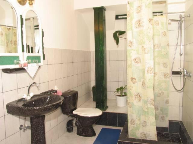 Pensiunea Ana Maria Târgu-Mureş Zimmer foto